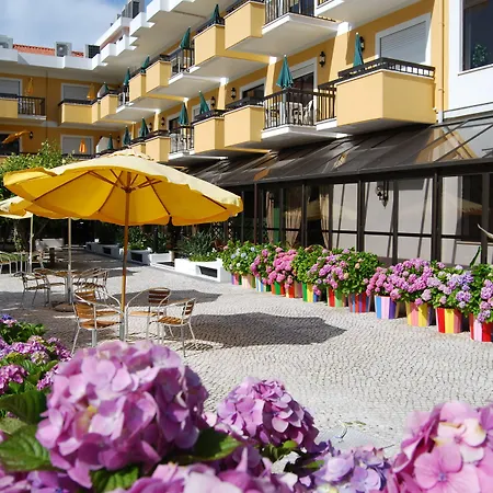 D. Afonso & Monte Real