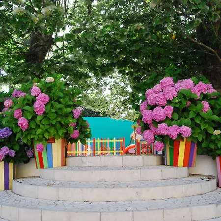 D. Afonso & Hotel 3*