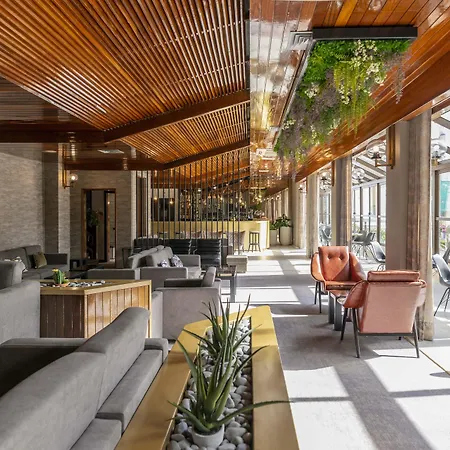 D. Afonso & Hotel Monte Real