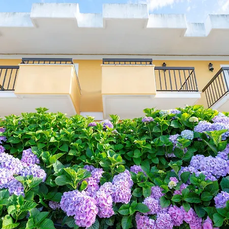 Hotel D. Afonso & Monte Real