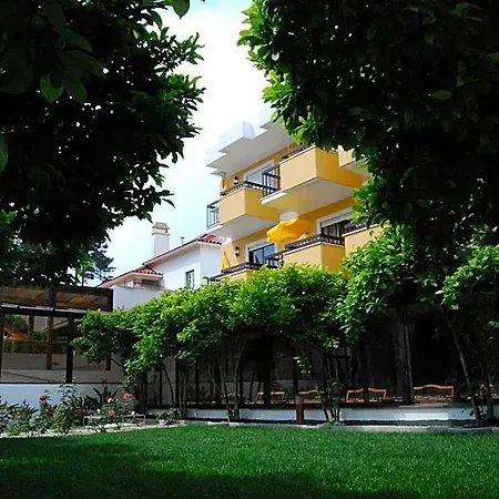 D. Afonso & Hotel 3*