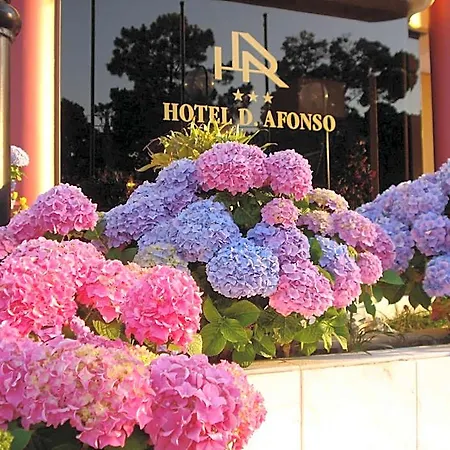 Hotel D. Afonso & 3*